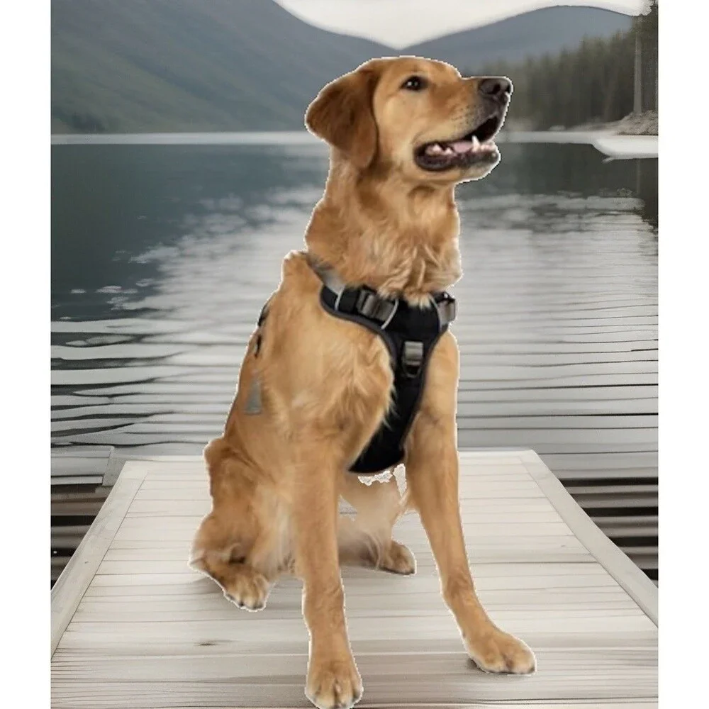 Embark Pets embark adventure